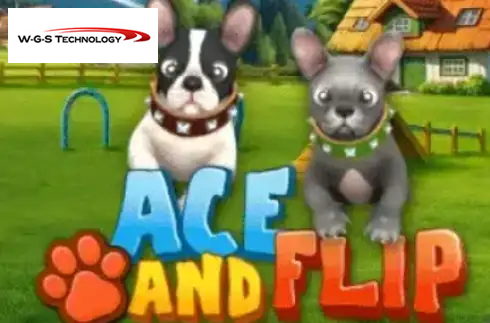 Ace and Flip